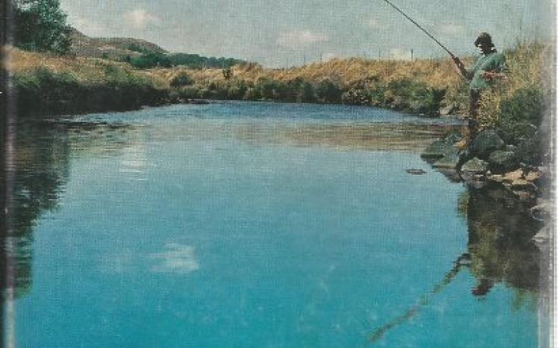 Front Cover of Freshwater Fishes Of Natal by R. S. Crass