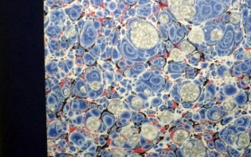 Front cover of Gamebirds and Waterfowl of Southern Africa (deluxe) by C.G. Finch-Davies