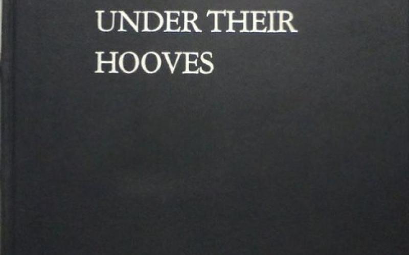 Front slipcase cover of Gold Under Their Hooves by John Collings