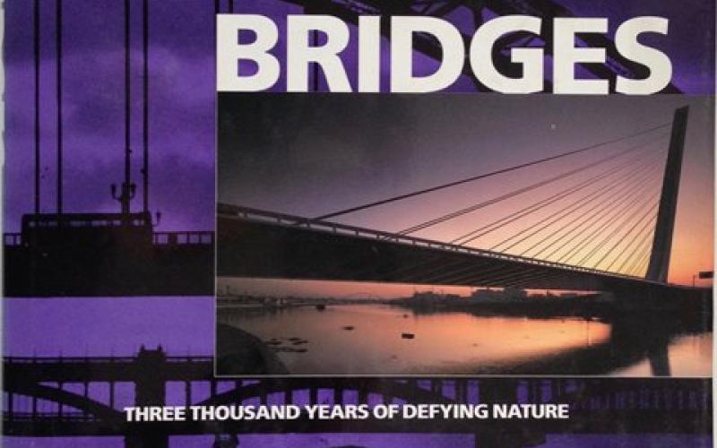 Front cover of Bridges by David J Brown