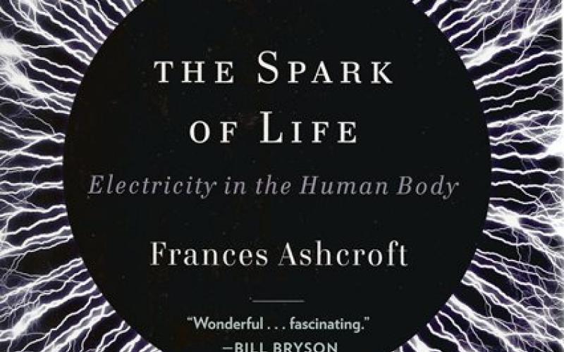 Front cover of The Spark of Life by Frances Ashcroft
