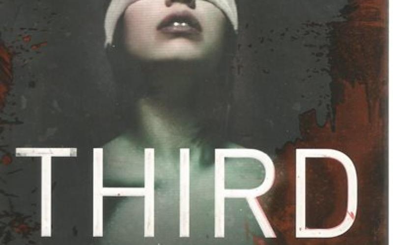 Front cover of Third Voice by Cilla & Rolf Borjlind