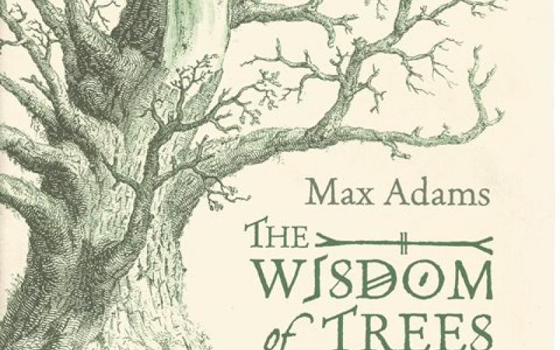Front cover of The Wisdom of Trees by Max Adams